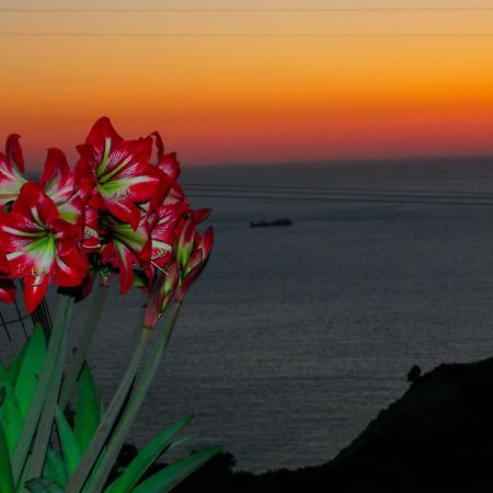 Sette Isole Countryside Apartment อธานนิออน ภายนอก รูปภาพ