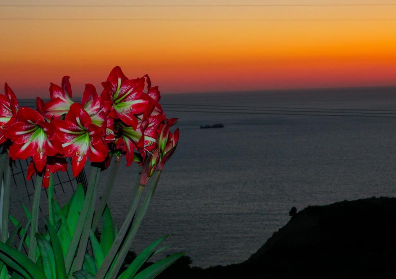 Sette Isole Countryside Apartment อธานนิออน ภายนอก รูปภาพ